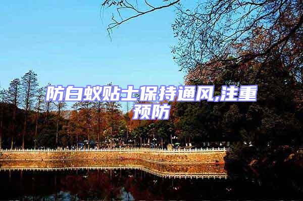 防白蟻貼士保持通風,注重預防