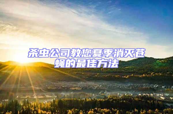 殺蟲公司教您夏季消滅蒼蠅的最佳方法