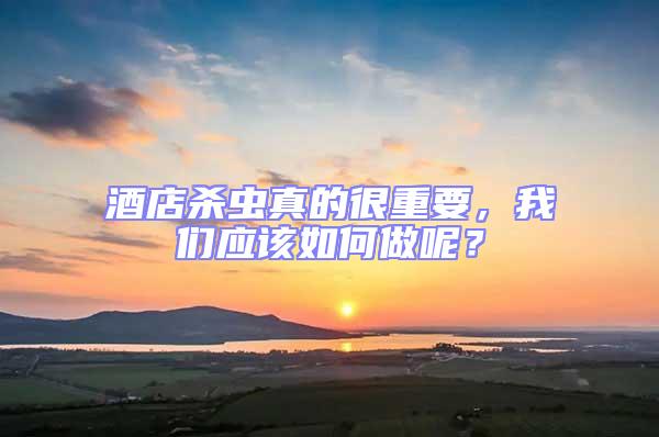 酒店殺蟲真的很重要，我們應該如何做呢？