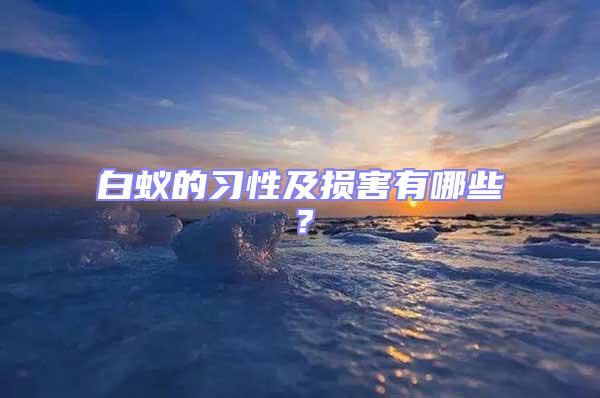 白蟻的習(xí)性及損害有哪些？