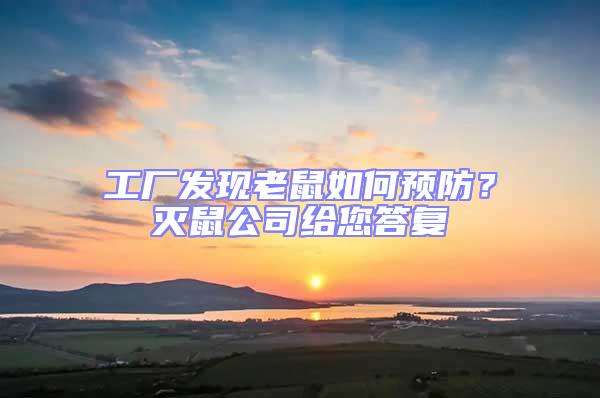 工廠發現老鼠如何預防？滅鼠公司給您答復