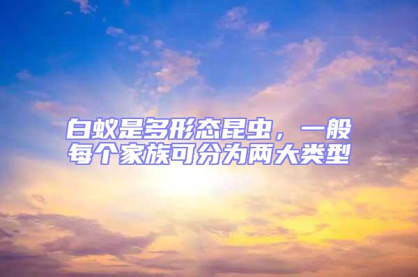 白蟻是多形態昆蟲，一般每個家族可分為兩大類型