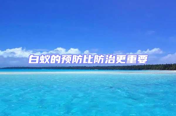 白蟻的預(yù)防比防治更重要