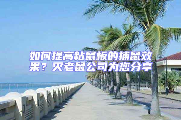 如何提高粘鼠板的捕鼠效果？滅老鼠公司為您分享
