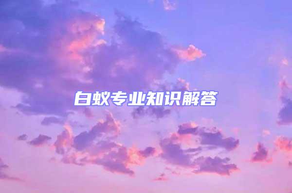 白蟻專業知識解答