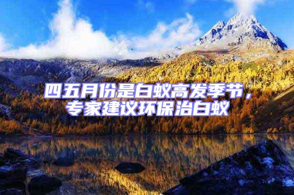 四五月份是白蟻高發(fā)季節(jié)，專家建議環(huán)保治白蟻