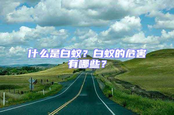 什么是白蟻？白蟻的危害有哪些？