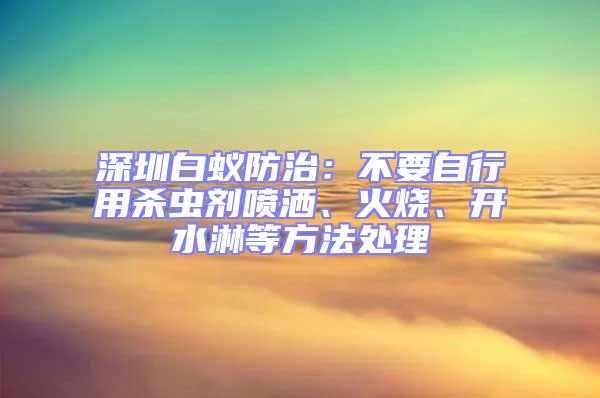 深圳白蟻防治：不要自行用殺蟲劑噴灑、火燒、開水淋等方法處理