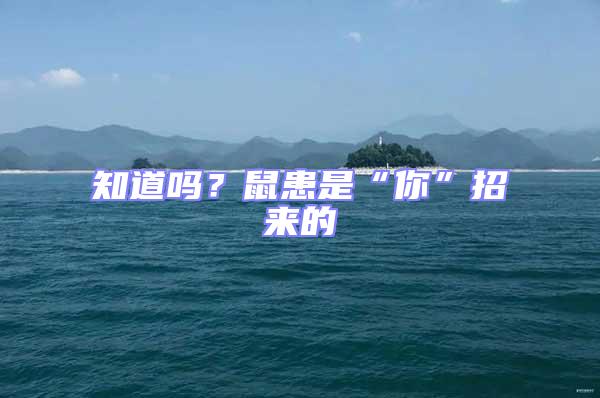 知道嗎？鼠患是“你”招來(lái)的
