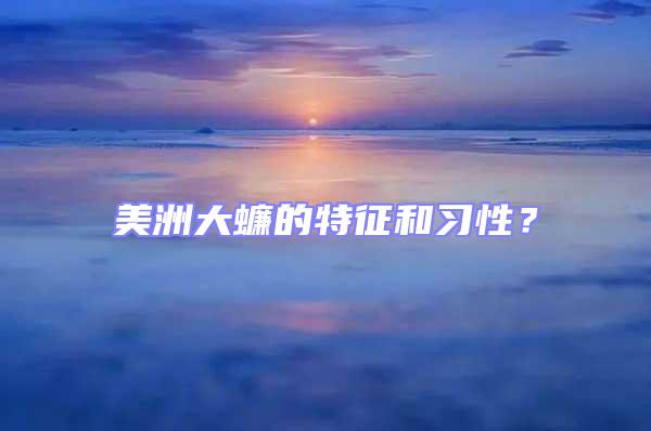 美洲大蠊的特征和習性？