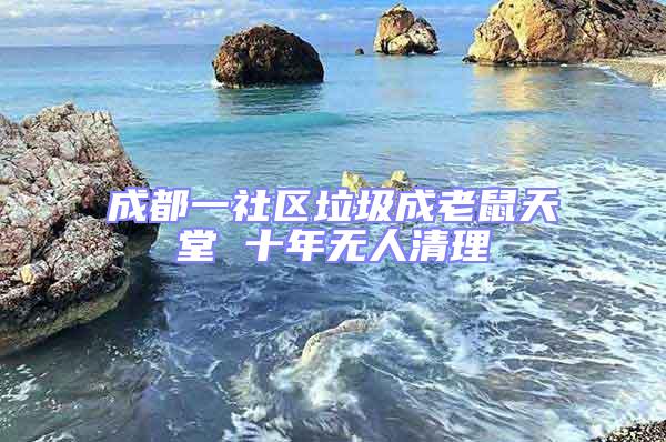 成都一社區垃圾成老鼠天堂 十年無人清理