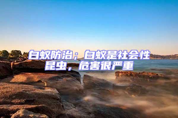 白蟻防治；白蟻是社會性昆蟲，危害很嚴重