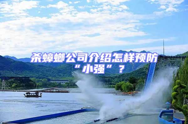 殺蟑螂公司介紹怎樣預防“小強”？