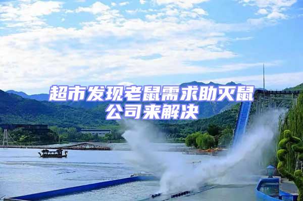 超市發(fā)現(xiàn)老鼠需求助滅鼠公司來(lái)解決