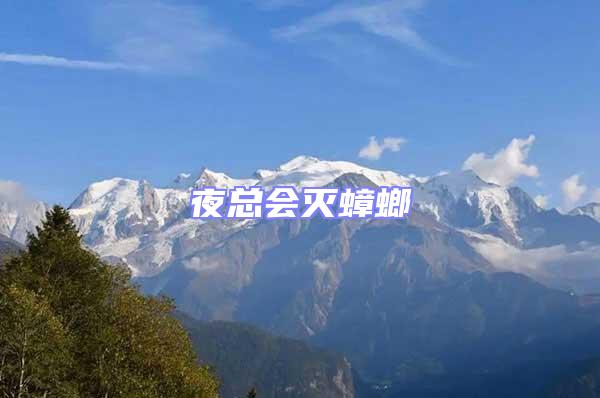 夜總會滅蟑螂