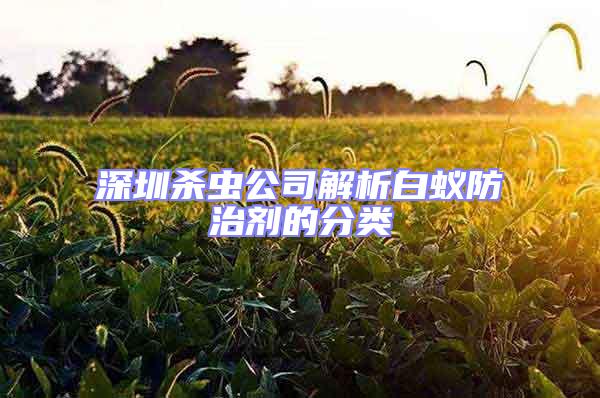 深圳殺蟲(chóng)公司解析白蟻防治劑的分類