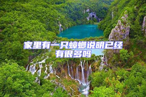 家里有一只蟑螂說明已經有很多嗎