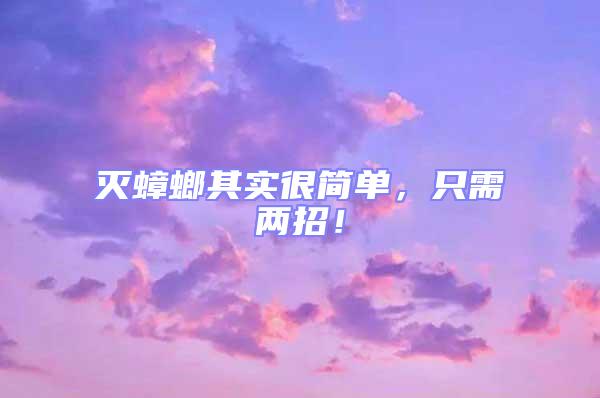 滅蟑螂其實很簡單，只需兩招！