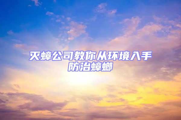 滅蟑公司教你從環(huán)境入手防治蟑螂