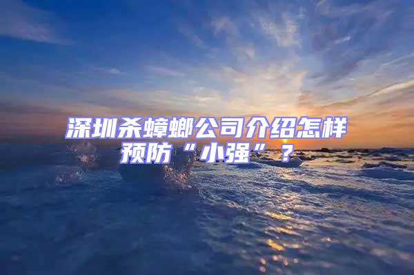 深圳殺蟑螂公司介紹怎樣預防“小強”？