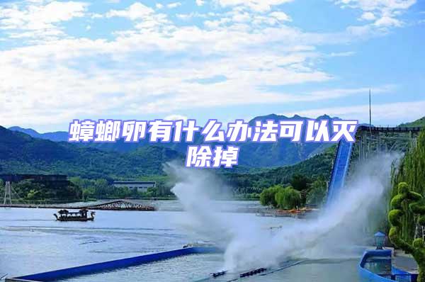 蟑螂卵有什么辦法可以滅除掉
