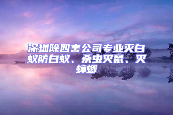 深圳除四害公司專業(yè)滅白蟻防白蟻、殺蟲滅鼠、滅蟑螂