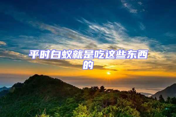 平時白蟻就是吃這些東西的