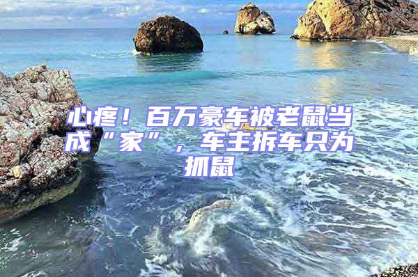 心疼！百萬豪車被老鼠當(dāng)成“家”，車主拆車只為抓鼠