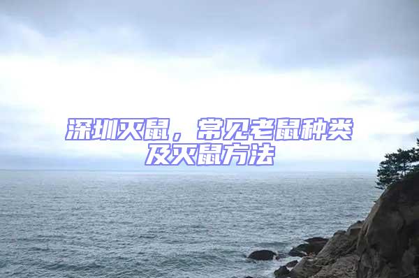 深圳滅鼠，常見老鼠種類及滅鼠方法