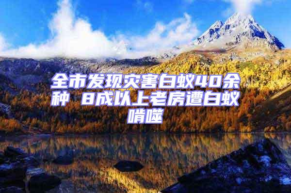 全市發現災害白蟻40余種 8成以上老房遭白蟻啃噬