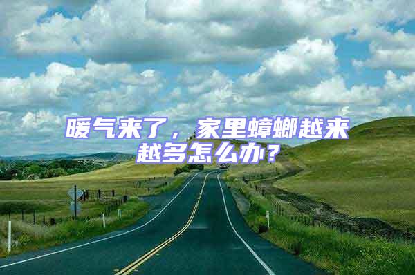 暖氣來了，家里蟑螂越來越多怎么辦？