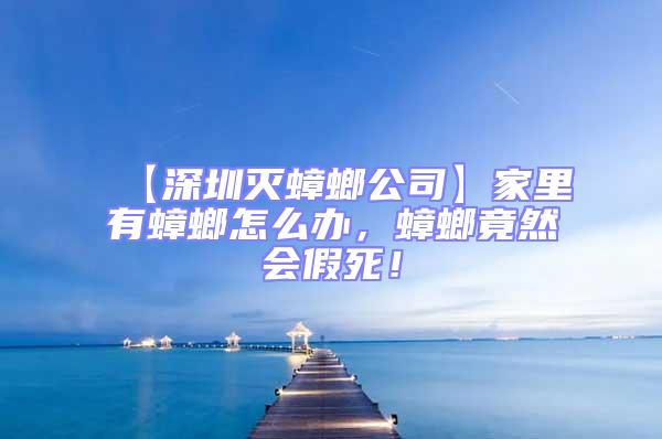 【深圳滅蟑螂公司】家里有蟑螂怎么辦，蟑螂竟然會假死！