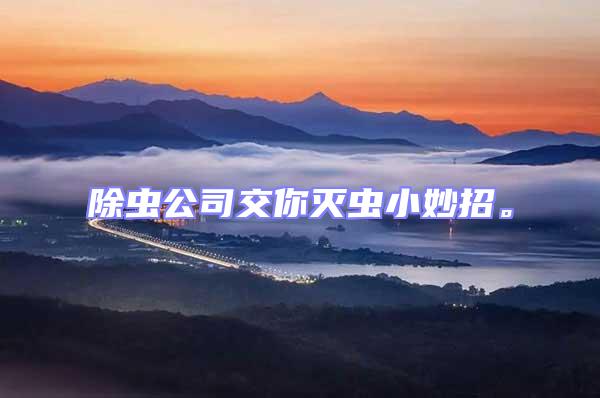 除蟲公司交你滅蟲小妙招。
