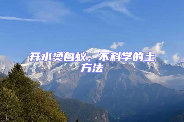 開水燙白蟻，不科學的土方法