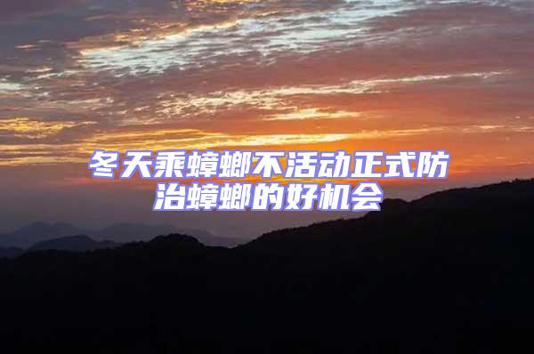 冬天乘蟑螂不活動正式防治蟑螂的好機會