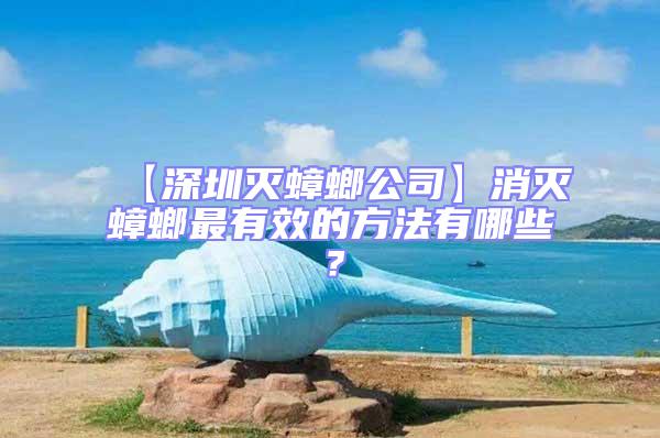 【深圳滅蟑螂公司】消滅蟑螂最有效的方法有哪些？
