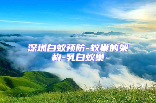 深圳白蟻預防-蟻巢的架構-乳白蟻巢