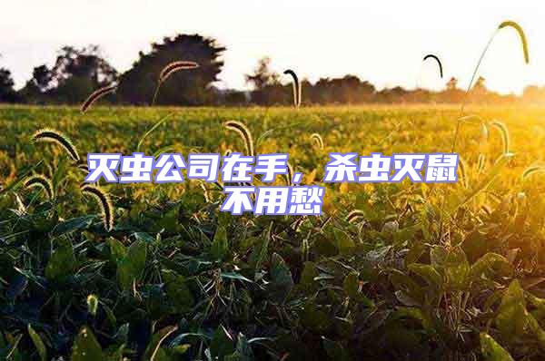 滅蟲(chóng)公司在手，殺蟲(chóng)滅鼠不用愁