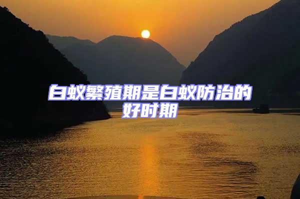白蟻繁殖期是白蟻防治的好時期