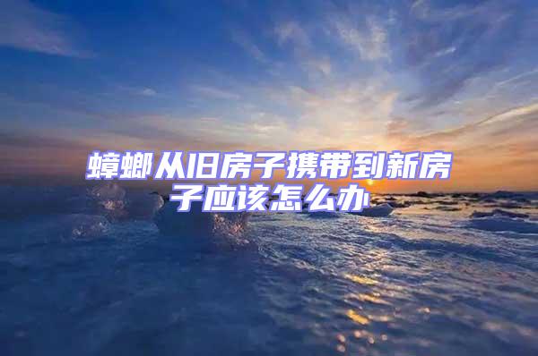 蟑螂從舊房子攜帶到新房子應(yīng)該怎么辦
