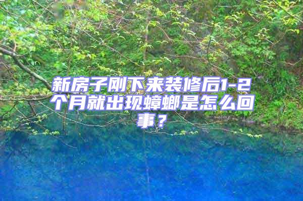 新房子剛下來裝修后1-2個月就出現(xiàn)蟑螂是怎么回事？