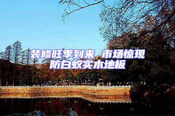 裝修旺季到來(lái) 市場(chǎng)驚現(xiàn)防白蟻實(shí)木地板