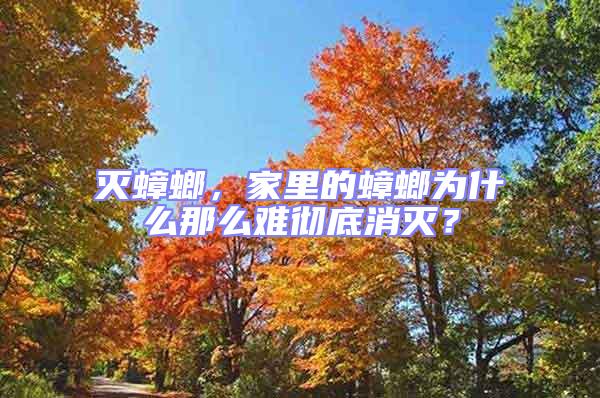 滅蟑螂，家里的蟑螂為什么那么難徹底消滅？