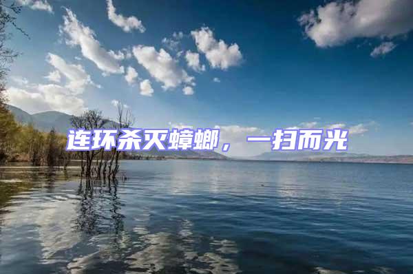 連環殺滅蟑螂，一掃而光