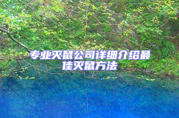 專業(yè)滅鼠公司詳細介紹最佳滅鼠方法