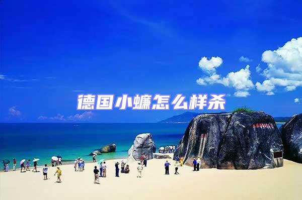 德國小蠊怎么樣殺