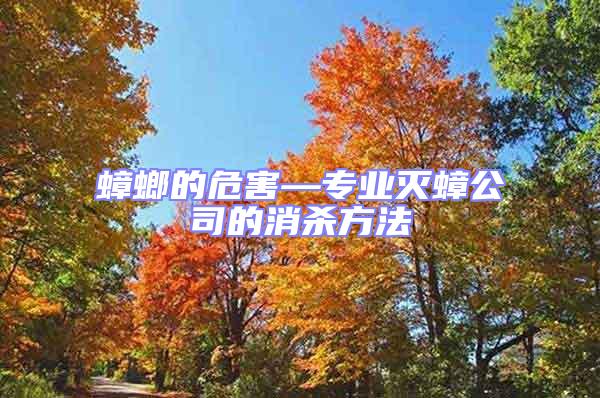 蟑螂的危害—專業滅蟑公司的消殺方法