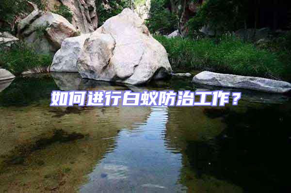 如何進(jìn)行白蟻防治工作？