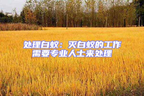 處理白蟻：滅白蟻的工作需要專業人士來處理