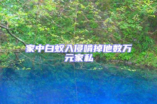 家中白蟻入侵啃掉他數(shù)萬元家私